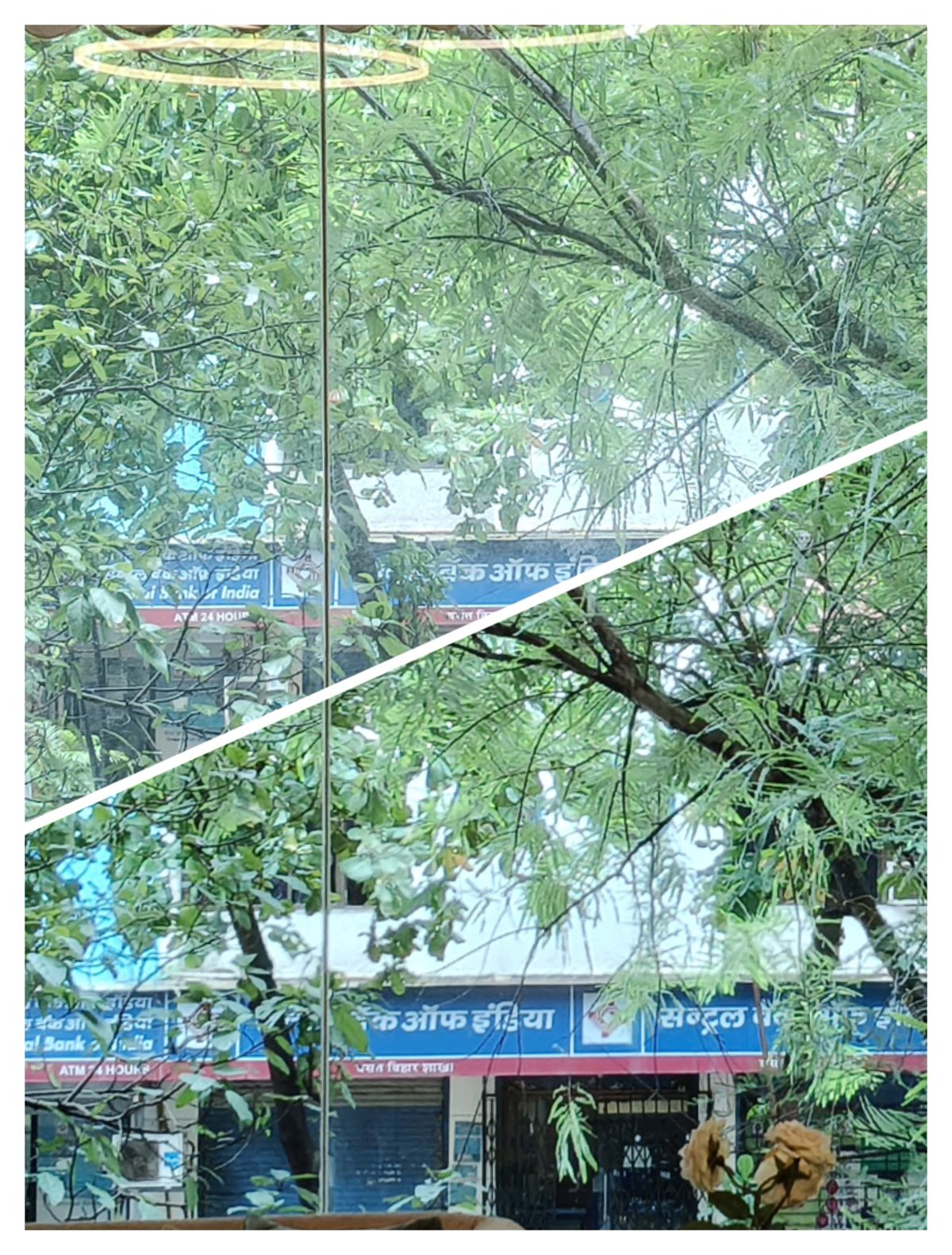 Window glass before and after cleaning, split view